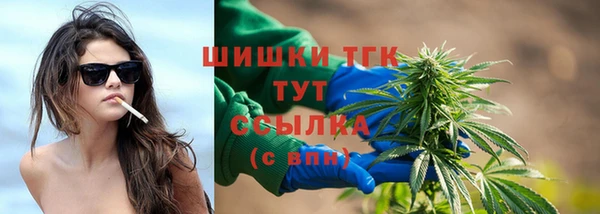 молекула духа Покров