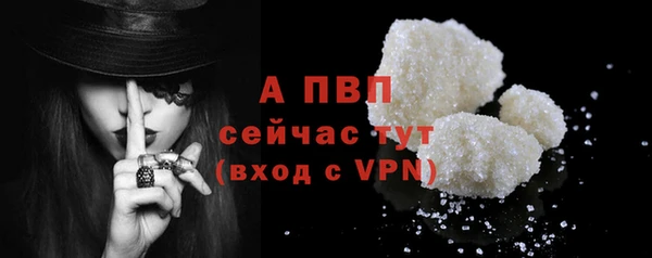 молекула духа Покров