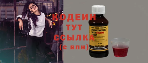 молекула духа Покров