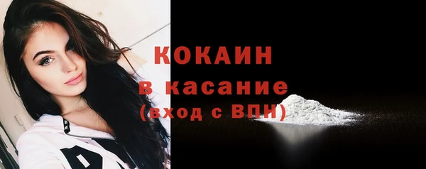 молекула духа Покров