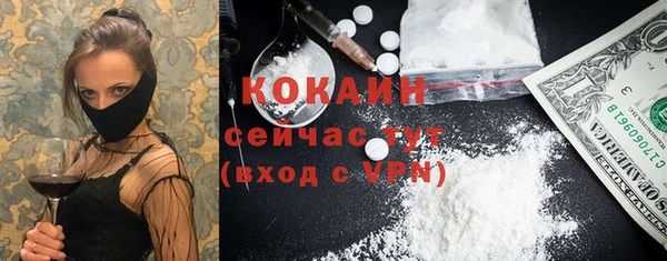молекула духа Покров