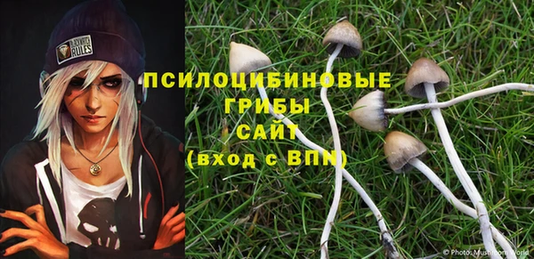 молекула духа Покров