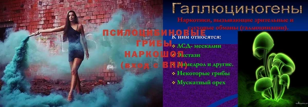 молекула духа Покров