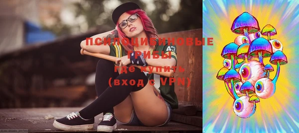 молекула духа Покров