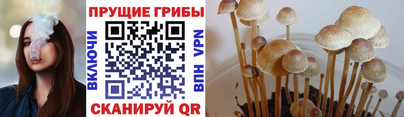 Галлюциногенные грибы MAGIC MUSHROOMS  Козьмодемьянск 